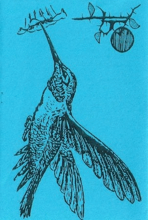 Blue Hummingbird On The Left : Bloodflower